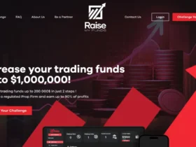 Raise My Funds Review