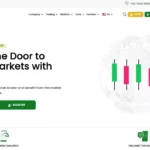 Go Wize Markets Review