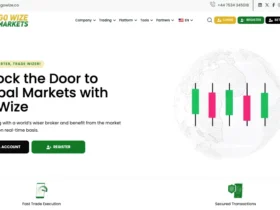 Go Wize Markets Review